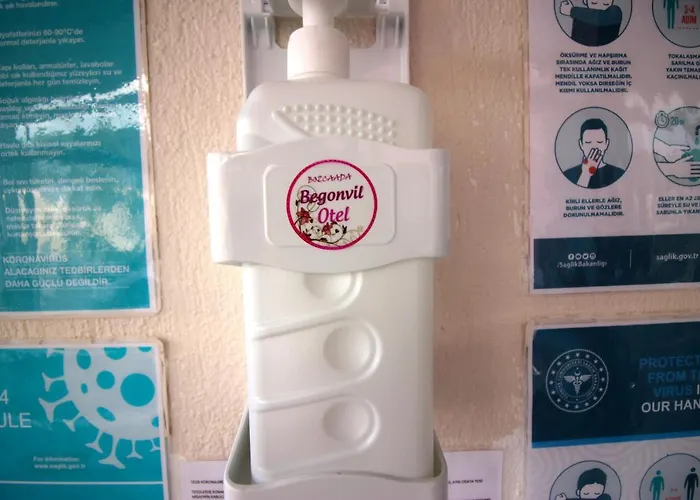 Begonvil 보즈자아다