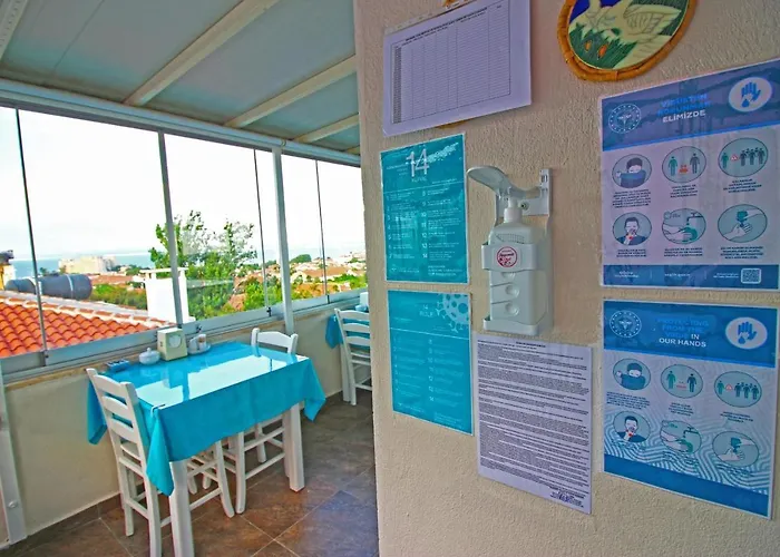 Begonvil * 보즈자아다