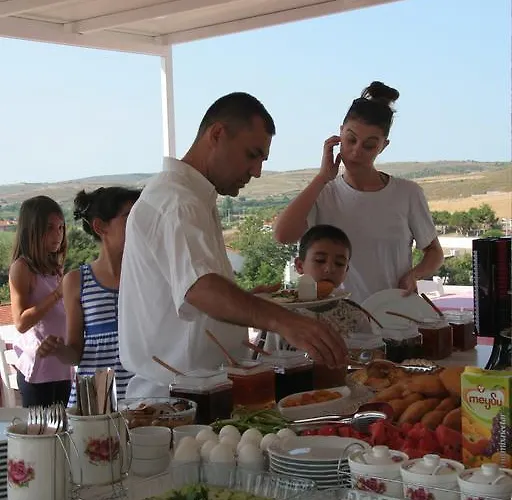 Begonvil 보즈자아다