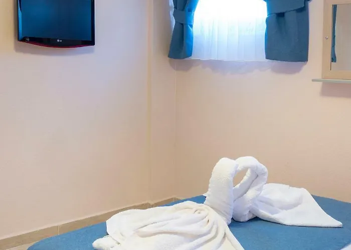 Begonvil * 보즈자아다