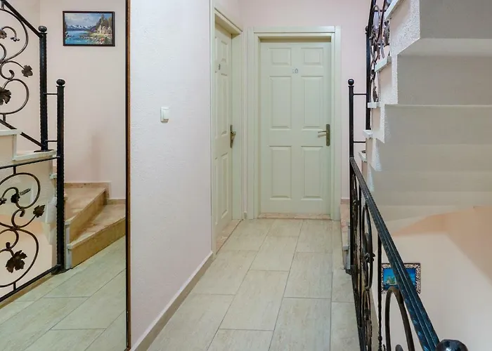 Begonvil 보즈자아다