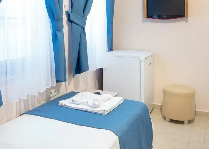 Begonvil * 보즈자아다