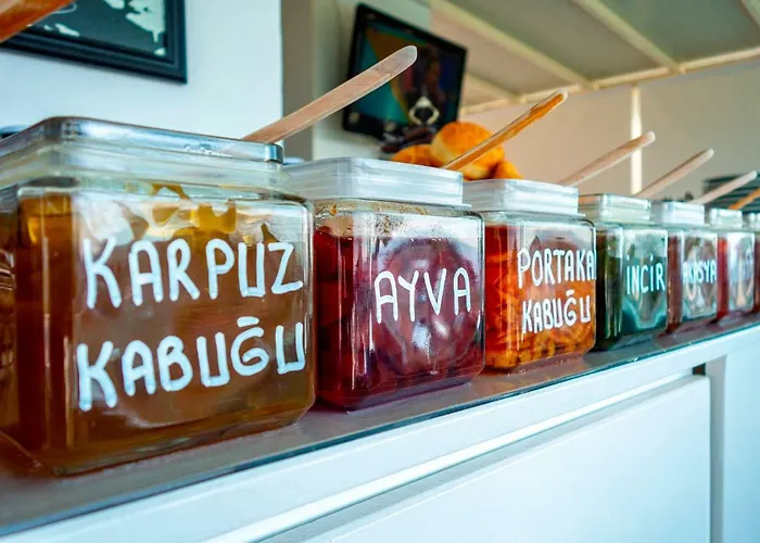 Begonvil * 보즈자아다