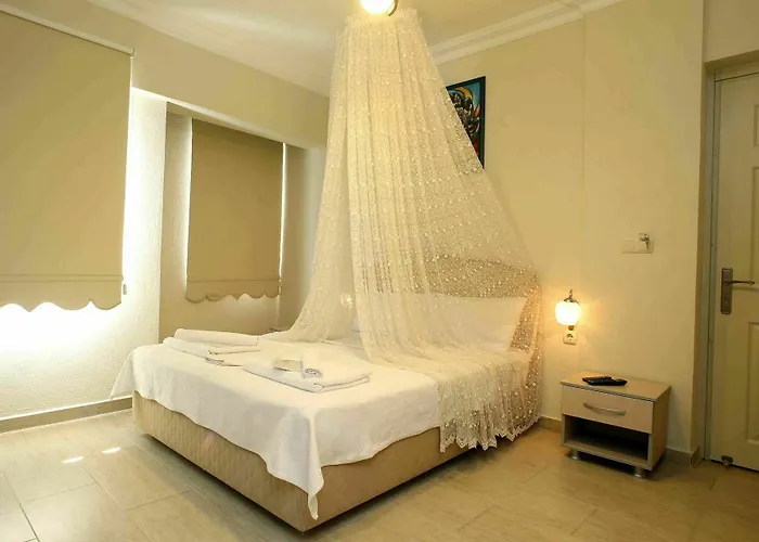 Begonvil 보즈자아다